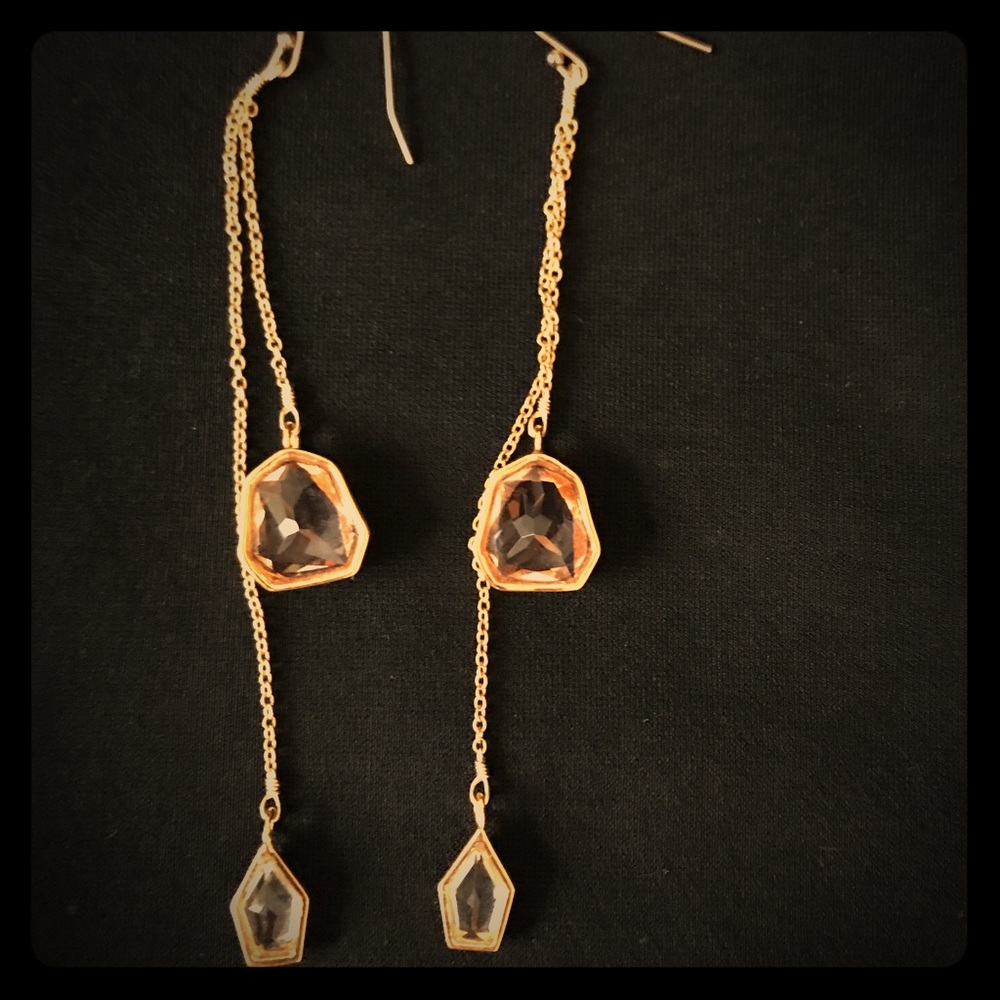 Alexis Bittar dangle earrings